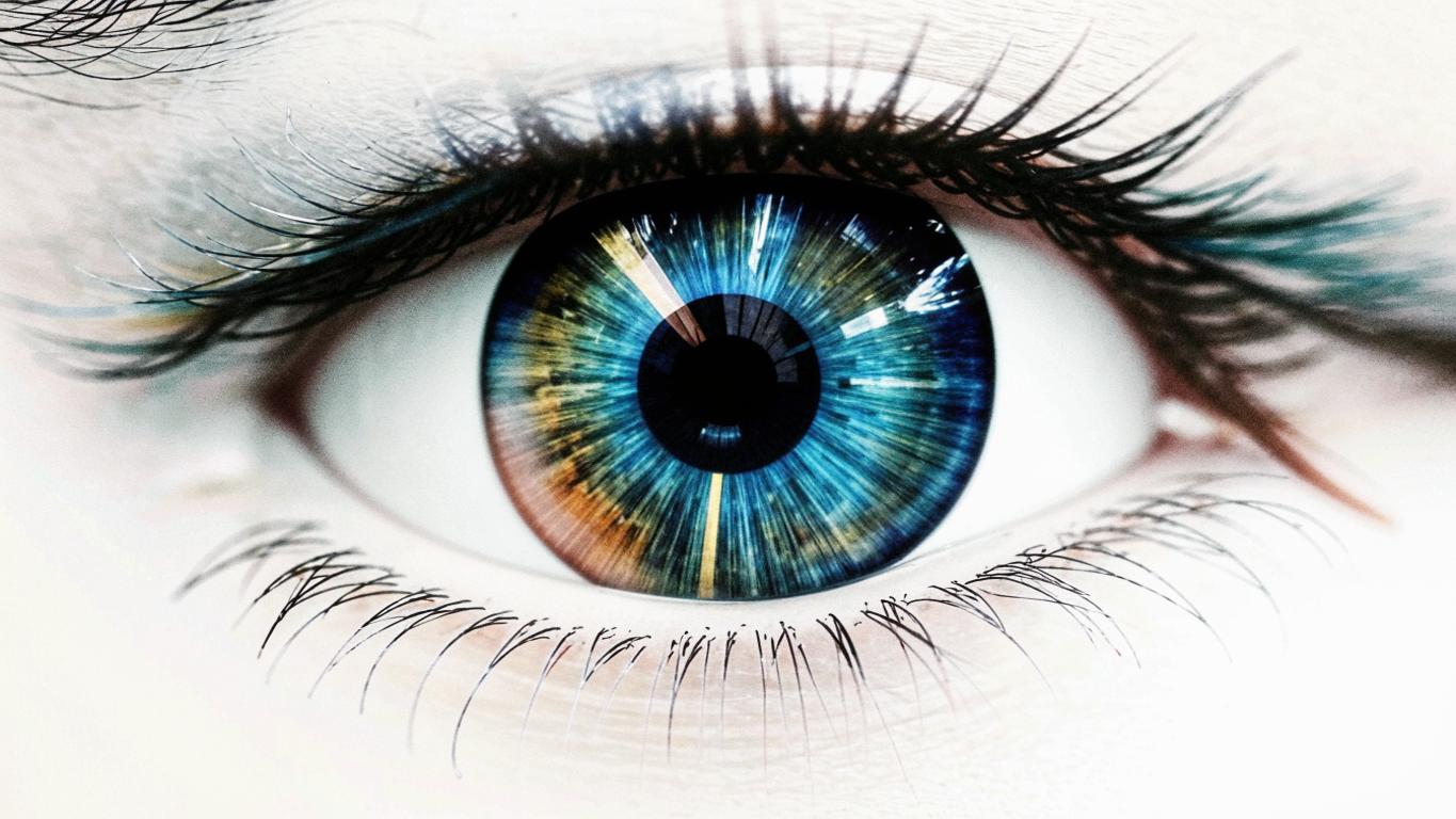 What Is Eye Tracking and How Does It Improve Our Daily Lives?